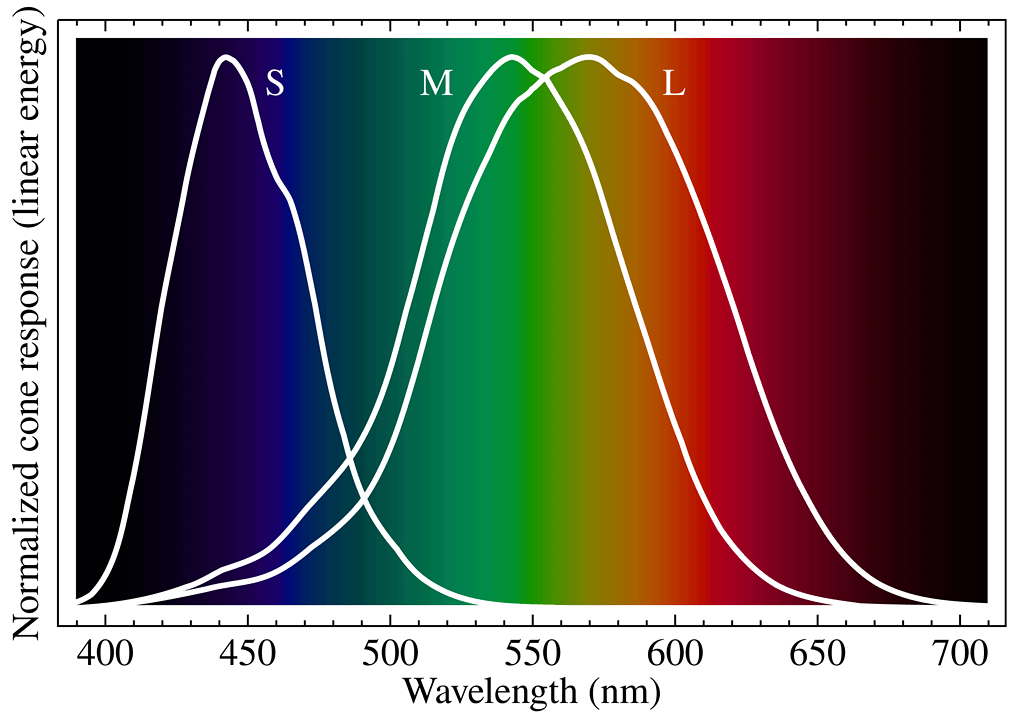 Graph showing colour wavelengths (the visible spectrum)